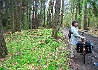 Durch den Schwarberwald bei Nonnewitz / Rügen : Radlerin, Fahrrad, Tove, Wald, Schwarberwald, Nonnewitz, Rügen